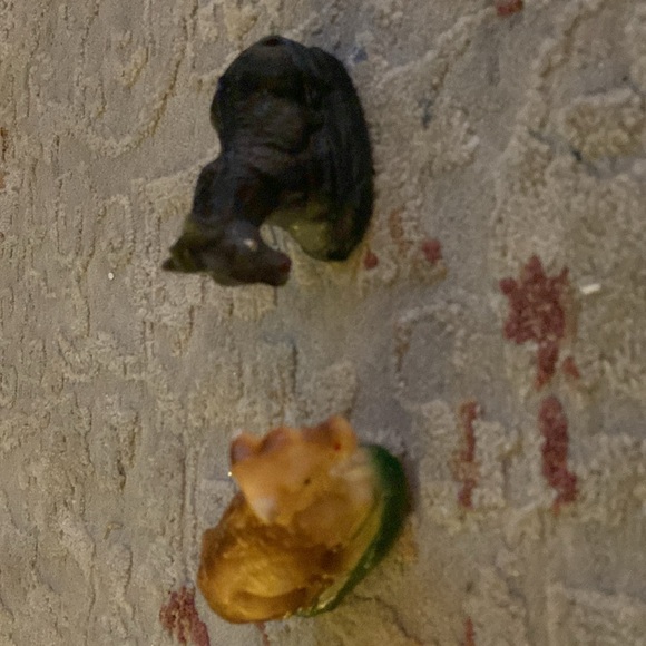 Nativity - Picture 5 of 6